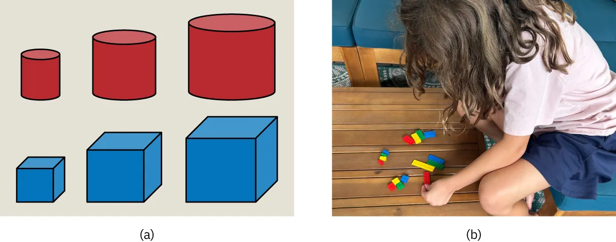 (a) Illustrations of three red cylinders and three blue squares, sorted from smallest to largest. (b) Photo of child sorting small building blocks.