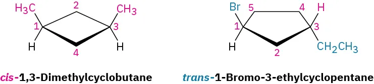 The chemical structures of cis-1,3-dimethylcyclobutane and trans-1-bromo-3-ethylcyclopentane. The carbon atoms forming the rings are numbered.