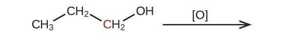 The left side of a reaction and arrow are shown. The arrow is labeled with an O in brackets. To the left of the arrow is a molecular structure. It shows a C H subscript 3 group bonded up and to the right to a C H subscript 2 group bonded down and to the right to a C H subscript 2 group which is bonded up and to the right to an O H group. The C in the second C H subscript 2 group is red.