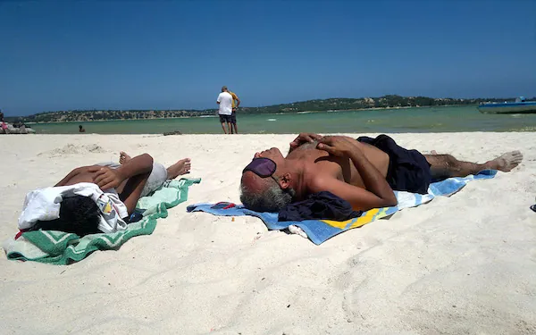 Alt Text Placeholder