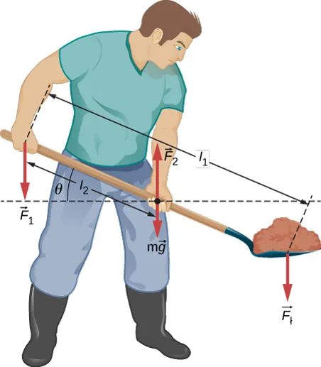 Rysunek przedstawia ogrodnika podnoszącego oburącz szpadel pełen ziemi. Siła F1 jest przyłożona dłoni znajdującej się za plecami. Siła F2 jest przyłożona do przedniej dłoni. Siła w jest przyłożona do przedniej części szpadla. Odległość między dłonią za plecami a przednią częścią szpadla wynosi l1. Odległość między dłońmi wynosi l2. Kąt pomiędzy szpadlem a linią równoległą do podłoża wynosi theta.