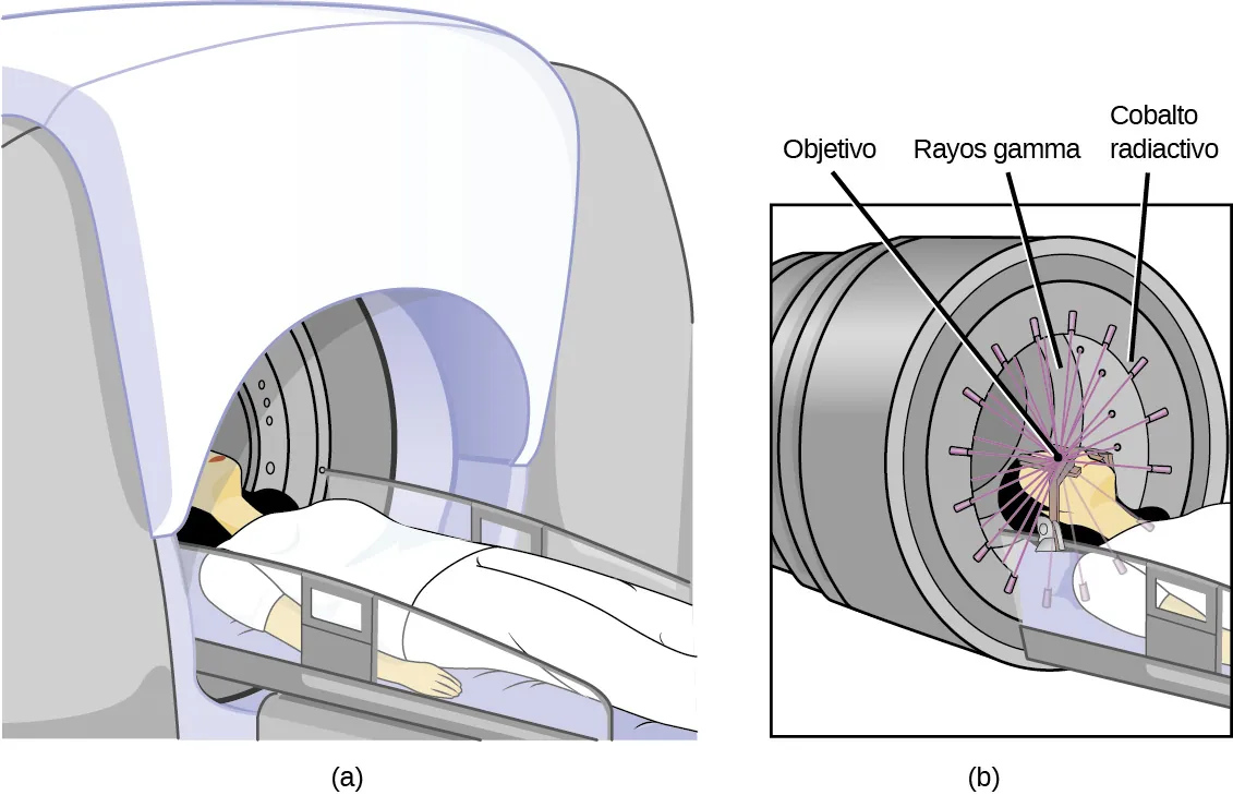 Se muestran dos diagramas marcados como "a" y "b". El diagrama a muestra a una mujer tumbada en una mesa horizontal que se introduce en una máquina con forma de cúpula. El diagrama b es una vista más cercana de la cabeza y del torso superior de la mujer en la máquina. Se muestra una serie de rayos, marcada como "rayos gama", que salen de las rendijas de los bordes de la máquina, marcados como "cobalto radiactivo", y que penetran en su cabeza, marcada como "objetivo".
