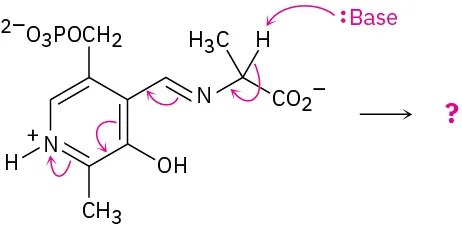 An incomplete reaction shows substituted pyridine reacting with a base to form unknown product(s), depicted by a question mark. Arrows show the movement of electrons.