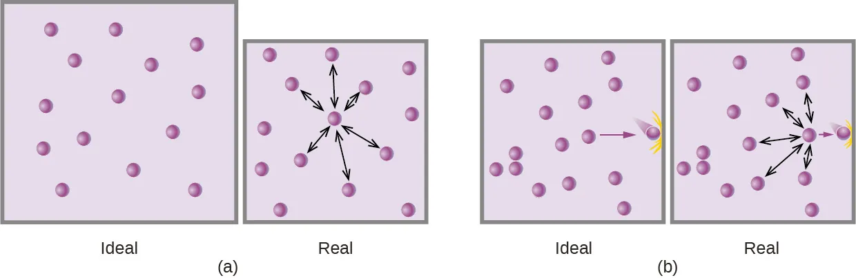 Esta figura incluye dos diagramas. Cada uno de ellos consta de dos casillas de color lavanda que contienen 14 esferas púrpuras distribuidas de forma relativamente uniforme. La primera casilla de la izquierda está marcada como "ideal". En el segundo recuadro, ligeramente más pequeño, a la derecha, una esfera púrpura situada casi en el centro tiene 6 flechas de dos cabezas que se extienden desde ella hacia las esferas cercanas. Esta caja está marcada como "real". En b, en la primera casilla de la izquierda, una sola flecha señala una esfera púrpura en el lado derecho que parece estar moviéndose e impactando en el lado derecho de la casilla. No hay otras esferas situadas cerca del borde derecho. Esta casilla está marcada como "ideal". La segunda casilla, a la derecha, muestra la misma imagen pero tiene 5 flechas de doble cabeza que irradian hacia arriba, abajo y a la izquierda hacia otras esferas. Esta caja está marcada como "real".