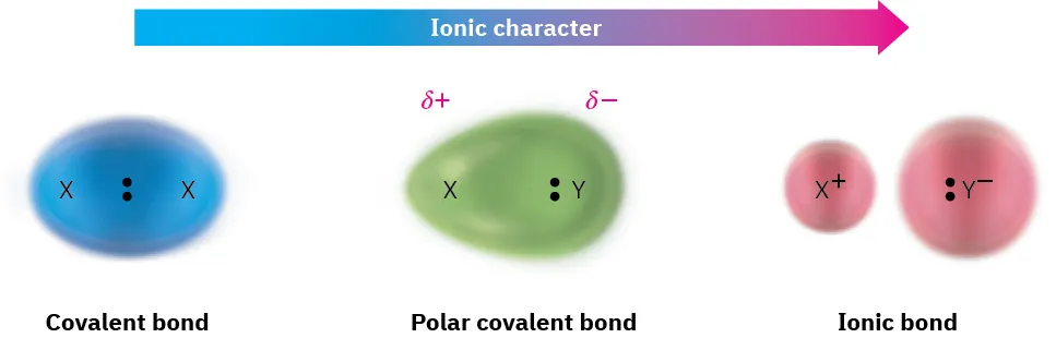 A covalent bond, a polar covalent bond, and an ionic bond are arranged from left to right, to highlight the order of increasing ionic character from covalent to ionic bond.