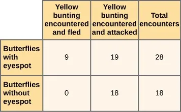 Table with first column describing butterflies.  Yellow buntings encountered 9 butterflies with eyespots and fled.  Yellow buntings encountered 19 butterflies with eyespots and attacked.  There were 28 total encounters with butterflies with eyespots.  Yellow buntings encountered 0 butterflies without eyespots and fled.  Yellow buntings encountered 18 butterflies without eyespots and attacked. Yellow buntings encountered 18 total encounters.