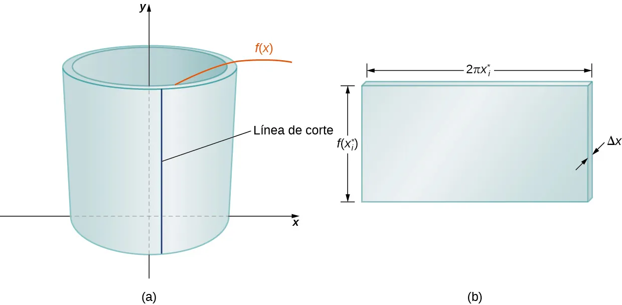 Esta figura tiene dos imágenes. La primera está marcada como "a" y es un cilindro hueco alrededor del eje y. En la parte delantera de este cilindro hay una línea vertical denominada "línea de corte". La altura del cilindro es "y=f(x)". La segunda figura se denomina "b" y es un bloque rectangular sombreado. La altura del rectángulo es "f(x*), la anchura del rectángulo es "2pix*", y el grosor del rectángulo es "delta x".