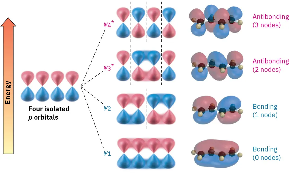 Four isolated p orbitals form antibonding (3 nodes), antibonding (2 nodes), bonding (1 node), and bonding molecular orbital (0 nodes) from higher energy level to lower energy level.