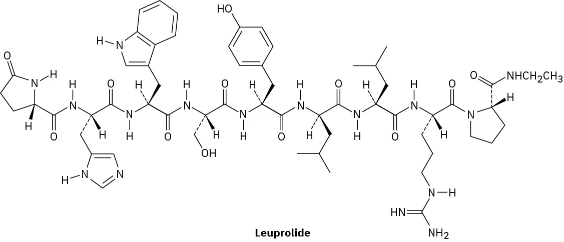 The wedge-dash structure of leuprolide.