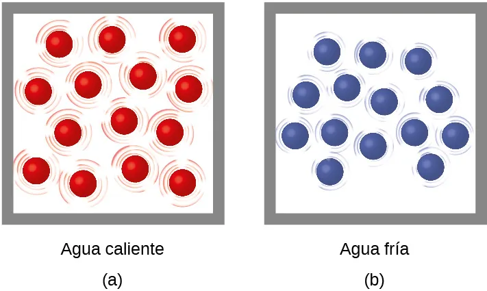 Se muestran dos dibujos moleculares etiquetados como a y b. El dibujo a es una caja que contiene catorce esferas rojas que están rodeadas por líneas que indican que las partículas se mueven rápidamente. Este dibujo tiene una etiqueta que dice "Líquido caliente". El dibujo b representa otra caja de igual tamaño que también contiene catorce esferas, pero estas son azules. Todas ellas están rodeadas de líneas más pequeñas que representan cierto movimiento de las partículas, pero no tanto como en el dibujo a. Este dibujo tiene una etiqueta que dice "Líquido frío".