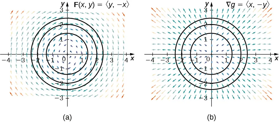 Dos campos vectoriales en dos dimensiones. El primero tiene flechas que rodean el origen en un patrón circular en el sentido de las agujas del reloj. El segundo tiene flechas que apuntan hacia afuera del origen de manera radial. En ambos se dibujan círculos con radios 1,5, 2 y 2,5 y centros en el origen. Las flechas cercanas al origen son más cortas que las más alejadas. La primera se denomina F(x,y) = <y, -x> y la segunda se denomina para el gradiente, delta g = <x, -y>.