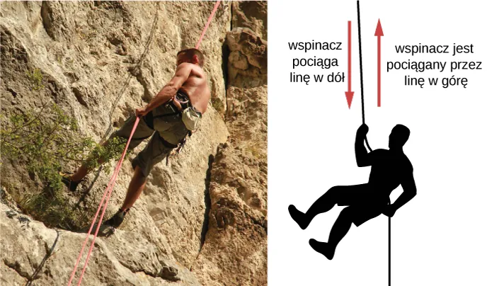 Po lewej stronie rysunku pokazano zdjęcie człowieka uprawiającego wspinaczkę górską. Schemat układu pokazano po prawej. Strzałka w dół symbolizuje sytuację, w której wspinacz ciągnie w dół linę wspinaczkową. Z kolei strzałka w górę pokazuje siłę reakcji, w wyniku której wspinacz porusza się po linie w górę