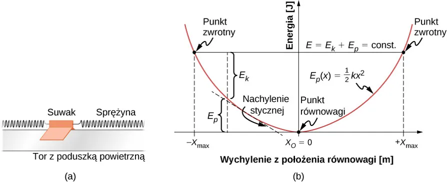 Rysunek a przedstawia ilustrację suwaka zamocowanego pomiędzy dwoma sprężynami umieszczonego na torze z poduszką powietrzną. Rysunek b to wykres energii w dżulach w funkcji przesunięcia liczonego od położenia, w którym sprężyny nie są odkształcone. Funkcja E p od x jest równa jednej drugiej k x do kwadratu. Punkt równowagi znajduje się w minimum paraboli, czyli w punkcie x równym zero. Energia całkowita E będąca sumą E p i E k jest stała i została oznaczona poprzez poziomą czarną linię. Punkty, w których parabola energii potencjalnej E p przecina linię E oznaczono jako punkty zwrotne. Jeden z nich znajduje się dla minus x max, natomiast drugi dla plus x max.