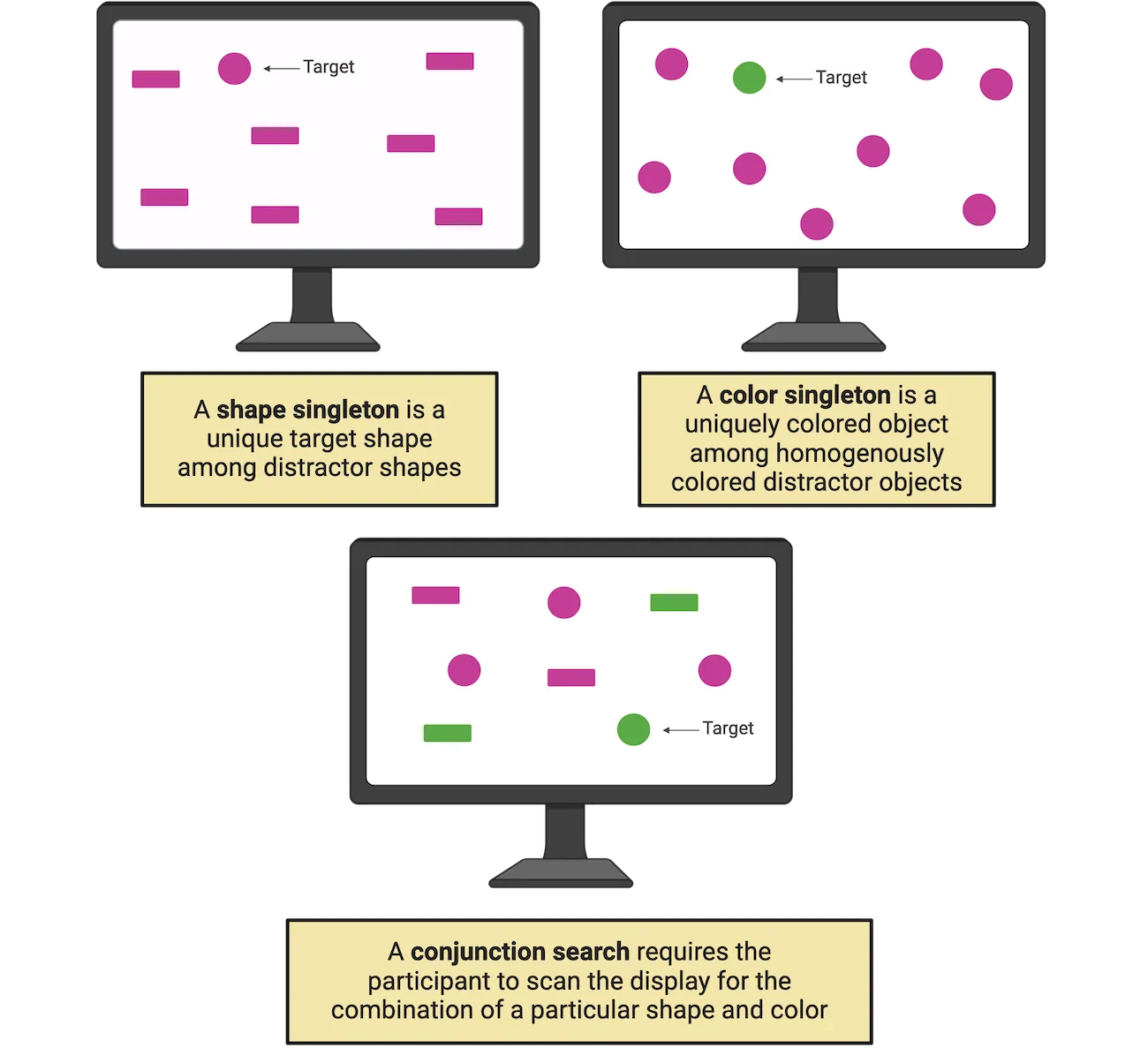 Diagrams of computer screens showing shape and color singletons and a conjunction search as described in the main text