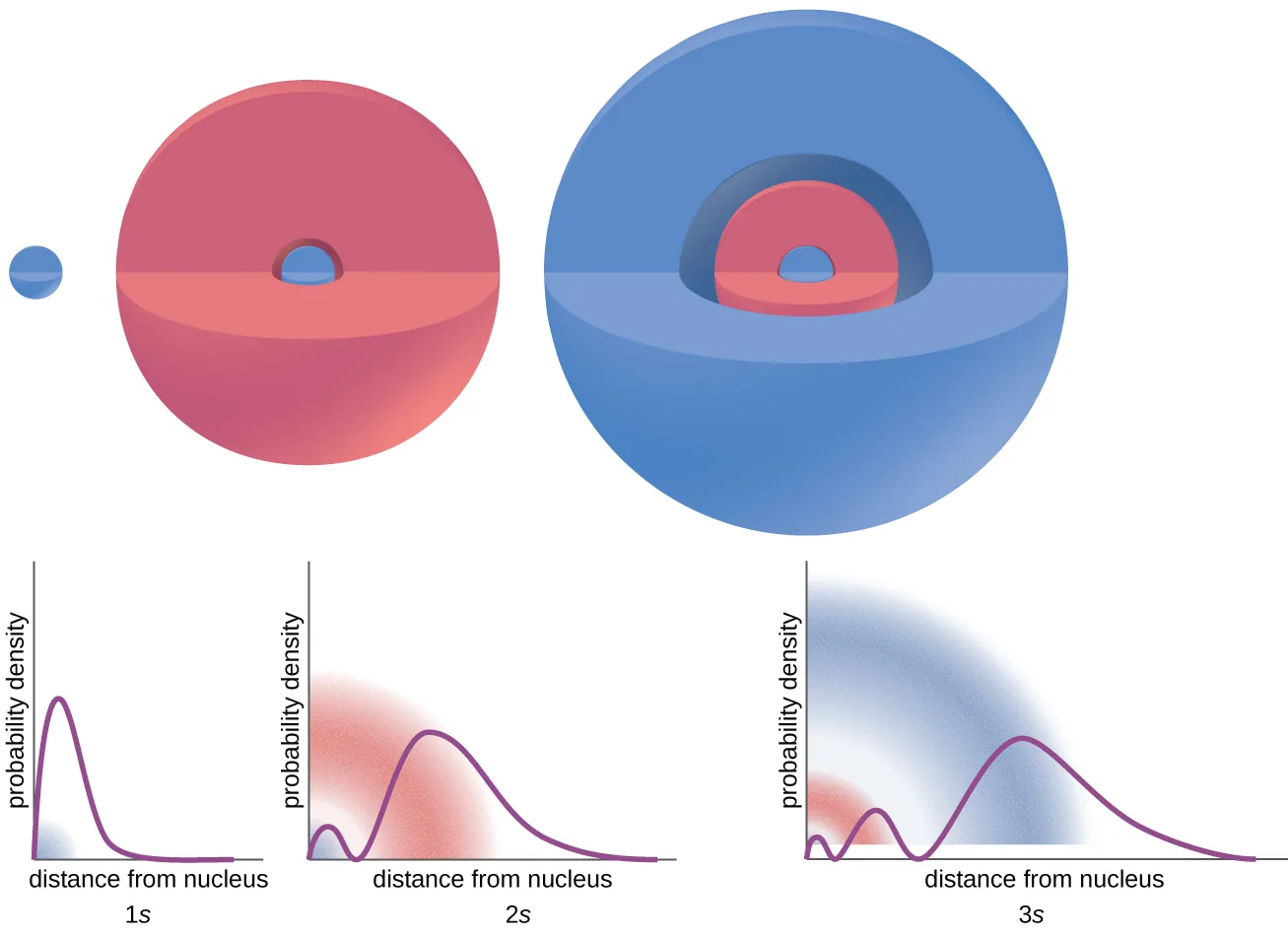 This figure provides images and graphs to illustrate the probability of finding an electron in 1 s, 2 s, and 3 s orbitals as a function of the distance from the nucleus. The 1 s orbital is shown as a sphere with a chunk missing. The graph below it has x axis labeled “distance from nucleus” and y axis labeled “probability density”. The related curve quickly reaches a maximum height and rapidly declines. The label, “1 s” appears below the graph. The 2 s orbital is shown as a red sphere with a blue middle. A chunk is missing from the sphere. The graph below it has x axis labeled “distance from nucleus” and y axis labeled “probability density”. The related curve quickly reaches a relative maximum height, a significantly higher absolute maximum height, and then rapidly declines. The label “2s” appears below it. The 3 s orbital is a blue sphere with a red sphere and another blue sphere at its core. The graph below it has x axis labeled “distance from nucleus” and y axis labeled “probability density”. The related curve quickly reaches a relative maximum height, a second relative maximum height, a significantly higher absolute maximum, and then declines more gradually than illustrated in the previous 2 graphs. The label, “3 s,” appears below the graph.
