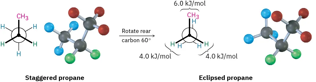Staggered propane undergoes rotation of rear carbon 60 degrees to form eclipsed propane.