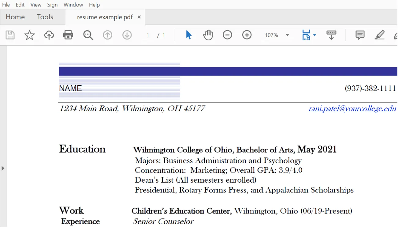 A résumé document has purple decorative lines at the top, a blank name space, a phone number, address, and email listed. The body of the document lists Education and Work experience.