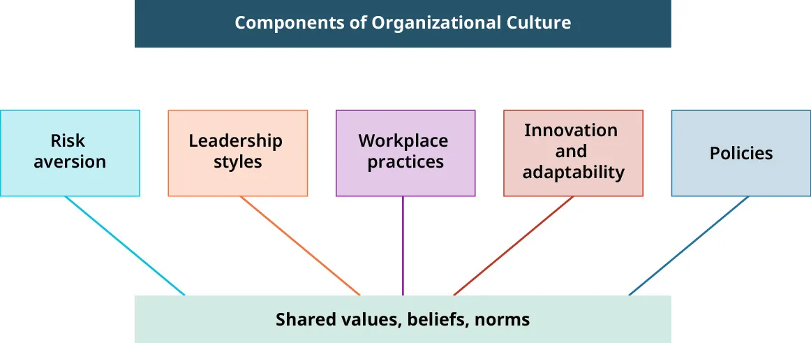 A diagram showing components of organizational culture: Risk aversion, Leadership styles, Workplace practices, Innovation and adaptability, and Policies, all linked to shared values, beliefs, and norms.