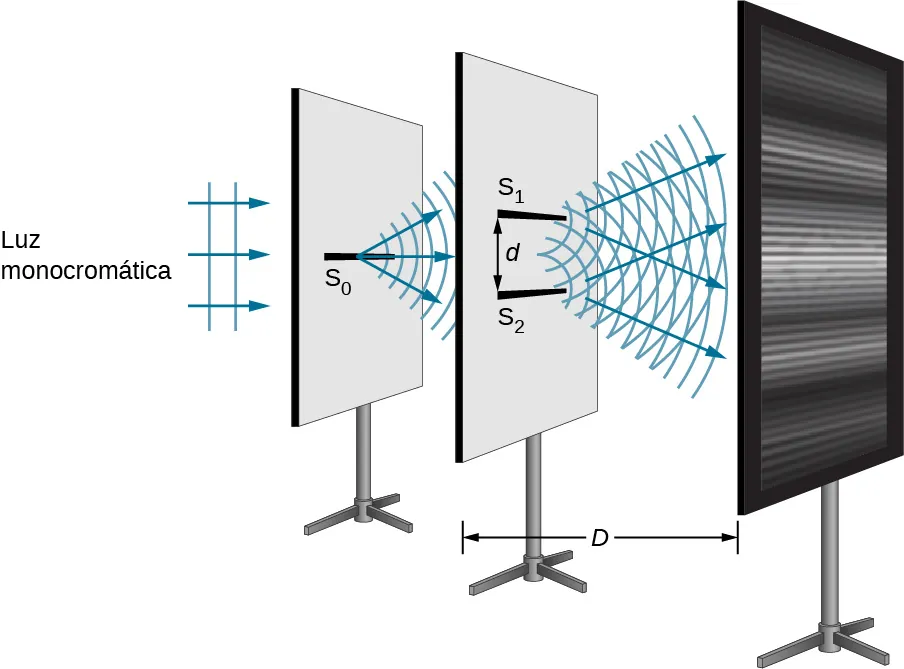 La imagen es un dibujo esquemático del experimento de la doble rendija. La luz monocromática atraviesa primero la estrecha rendija S0. A continuación, se desplaza a través de las dos rendijas S1 y S2 colocadas una encima de la otra y separadas por la distancia d. Finalmente, la luz llega a la pantalla donde se forma el patrón de interferencia. La distancia entre la pantalla de doble rendija y la pantalla final es D.