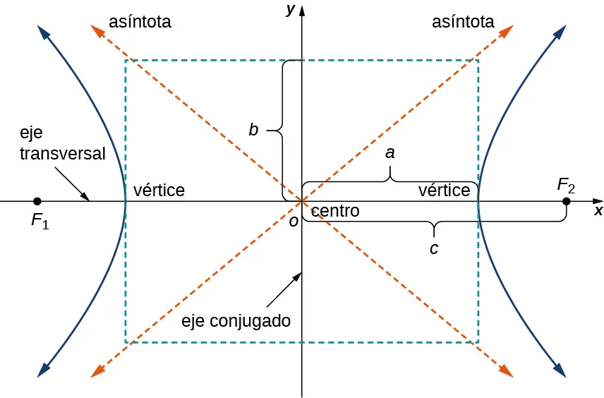 Se dibuja una hipérbola con centro en el origen. Los vértices están en (a, 0) y (–a, 0); los focos están marcados como F1 y F2 y están en (c, 0) y (–c, 0). Se dibujan las asíntotas y se trazan líneas desde los vértices hasta las asíntotas; las intersecciones de estas líneas se conectan mediante otras líneas para formar un rectángulo; el eje más corto se llama eje conjugado y el eje mayor se llama eje transversal. La distancia del eje x a cualquiera de las líneas que forman el rectángulo es b.