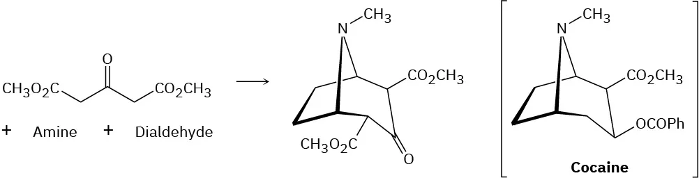 The reaction shows dimethyl acetonedicarboxylate with an amine and dialdehyde, forming a cyclic seven-membered carbonyl compound with a bridged N-methyl group. The structure of cocaine is shown in parenthesis.