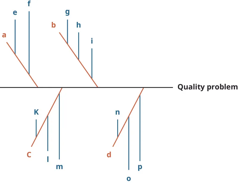 A fishbone diagram showing a quality problem along a horizontal line and various main causes of the problem shown as lines labeled a, b, c, and d extending from the main horizontal line. Other secondary lines extend from lines a, b, c, and d.