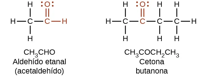 Sin texto alternativo