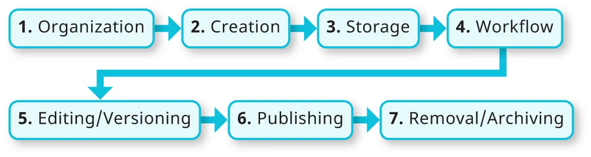 Seven boxes are connected together with thick arrows. Each box lists a different statement, in number order: 1. Organization; 2. Creation; 3. Storage; 4. Workflow; 5. Editing/Versioning; 6. Publishing; and 7. Removal/Archiving.