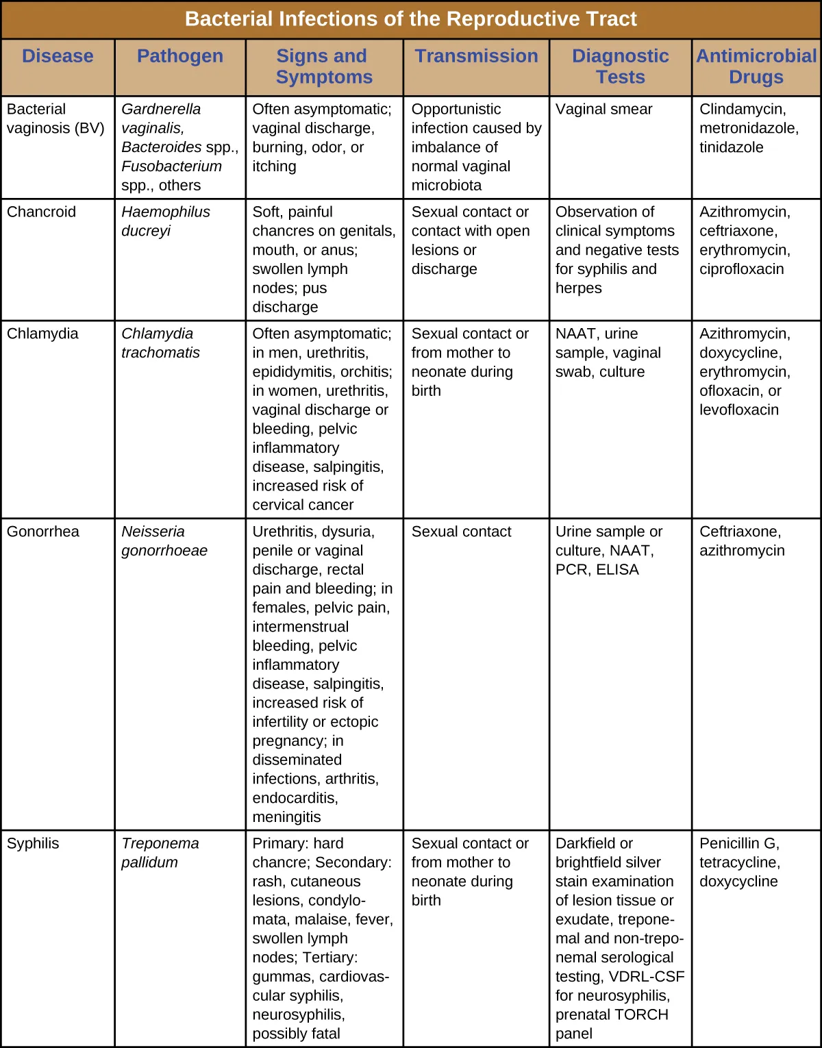 Table title: Bacterial Infections of the Reproductive Tract. Columns: Disease, Pathogen, Signs and Symptoms Transmission, Diagnostic Tests, Antimicrobial Drugs. Disease - Bacterial vaginosis (BV); Gardnerella vaginalis, Bacteroides spp., Fusobacterium spp., others; Often asymptomatic; vaginal discharge, burning, odor, or itching Opportunistic infection caused by imbalance of normal vaginal microbiota; Vaginal smear; Clindamycin, metronidazole, tinidazole. Disease – Chancroid; Haemophilus ducreyi; Soft, painful chancres on genitals, mouth, or anus; swollen lymph nodes; pus discharge; Sexual contact or contact with open lesions or discharge; Observation of clinical symptoms and negative tests for syphilis and herpes; Azithromycin, ceftriaxone, erythromycin, ciprofloxacin. Disease - Chlamydia ; Chlamydia trachomatis; Often asymptomatic; in men, urethritis, epididymitis, orchitis; in females, urethritis, vaginal discharge or bleeding, pelvic inflammatory disease, salpingitis, increased risk of cervical cancer ; Sexual contact or from a pregnant person to neonate during birth; NAAT, urine sample, vaginal swab, culture; Azithromycin, doxycycline, erythromycin, ofloxacin, or levofloxacin. Disease – Gonorrhea; Neisseria gonorrhoeae; Urethritis, dysuria, penile or vaginal discharge, rectal pain and bleeding; in females, pelvic pain, intermenstrual bleeding, pelvic inflammatory disease, salpingitis, increased risk of infertility or ectopic pregnancy; in disseminated infections, arthritis, endocarditis, meningitis; Sexual contact ; Urine sample or culture, NAAT, PCR, ELISA; Ceftriaxone, azithromycin. Syphilis; Treponema pallidum Primary: hard chancre; Secondary: rash, cutaneous lesions, condylomata, malaise, fever, swollen lymph nodes; Tertiary: gummas, cardiovascular syphilis, neurosyphilis, possibly fatal; Sexual contact or from a pregnant person to neonate during birth; Darkfield or brightfield silver stain examination of lesion tissue or exudate, treponemal and non-treponemal serological testing, VDRL-CSF for neurosyphilis, prenatal TORCH panel; Penicillin G, tetracycline, doxycycline.