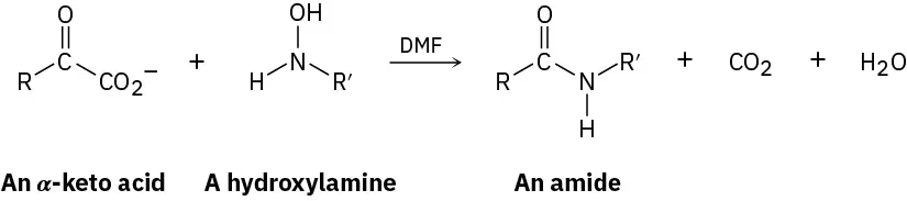 An alpha-keto acid reacts with hydroxylamine in the presence of N, N-dimethylformamide to form an amide, with carbon dioxide and water as the products.