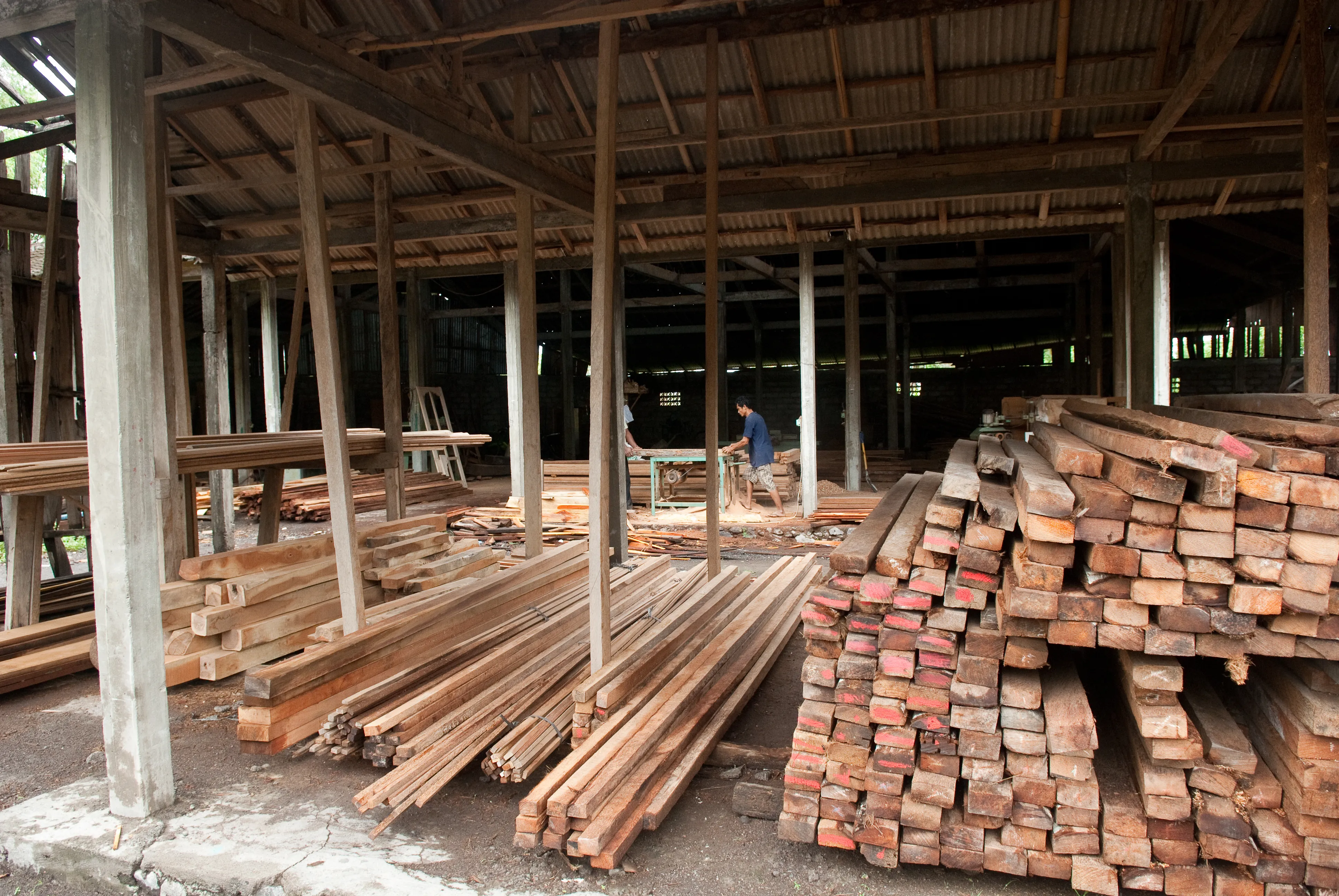 A bustling timber workshop showcases a worker operating wood-cutting machinery under a rustic corrugated roof. Piles of freshly cut lumber fill the foreground, highlighting the industrious scene.