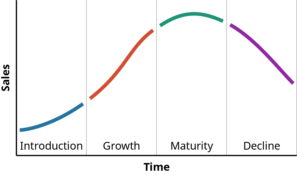 The product life cycle is shown as a line graph. The Y axis is labelled Sales and the x axis is labelled time. Time is divided into 4 parts: introduction, growth, maturity, and decline. During the introduction phase, sales are low but increasing. During the growth phase, sales increase quickly. During the maturity phase sales level out and begin to decline. During the decline phase, sales drop rapidly.