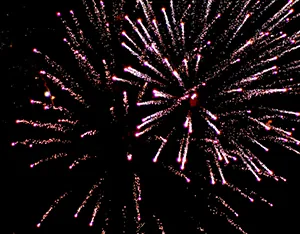The photograph shows fireworks exploding in the night sky.