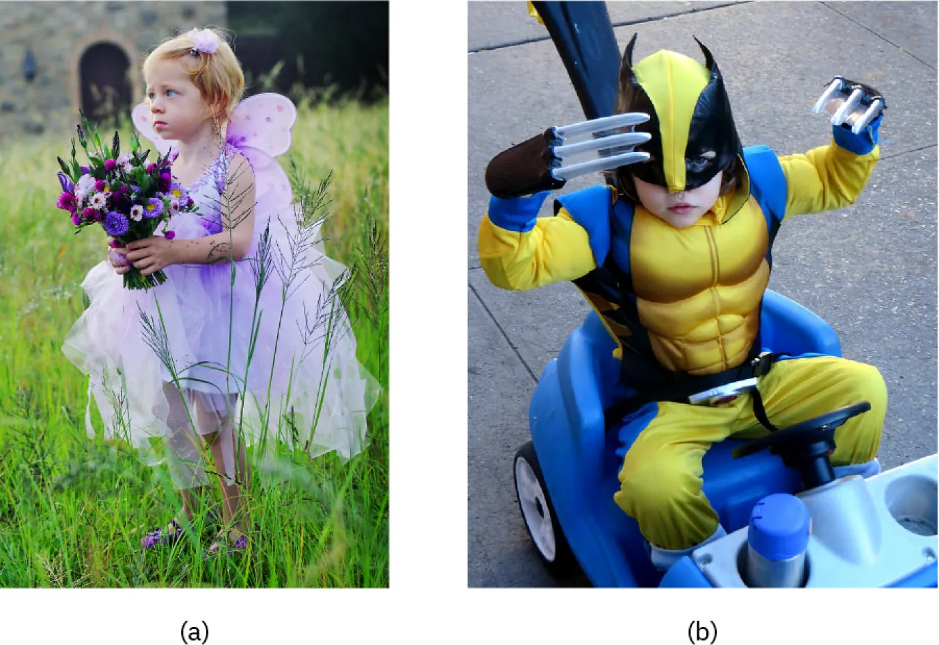Photo of young child dressed (a) in a purple fairy costume with wings, holding flowers and (b) a superhero costume with large claws.