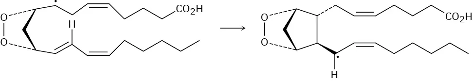 Electron movement results in formation of cyclopentane ring in a prostaglandin H 2 radical.