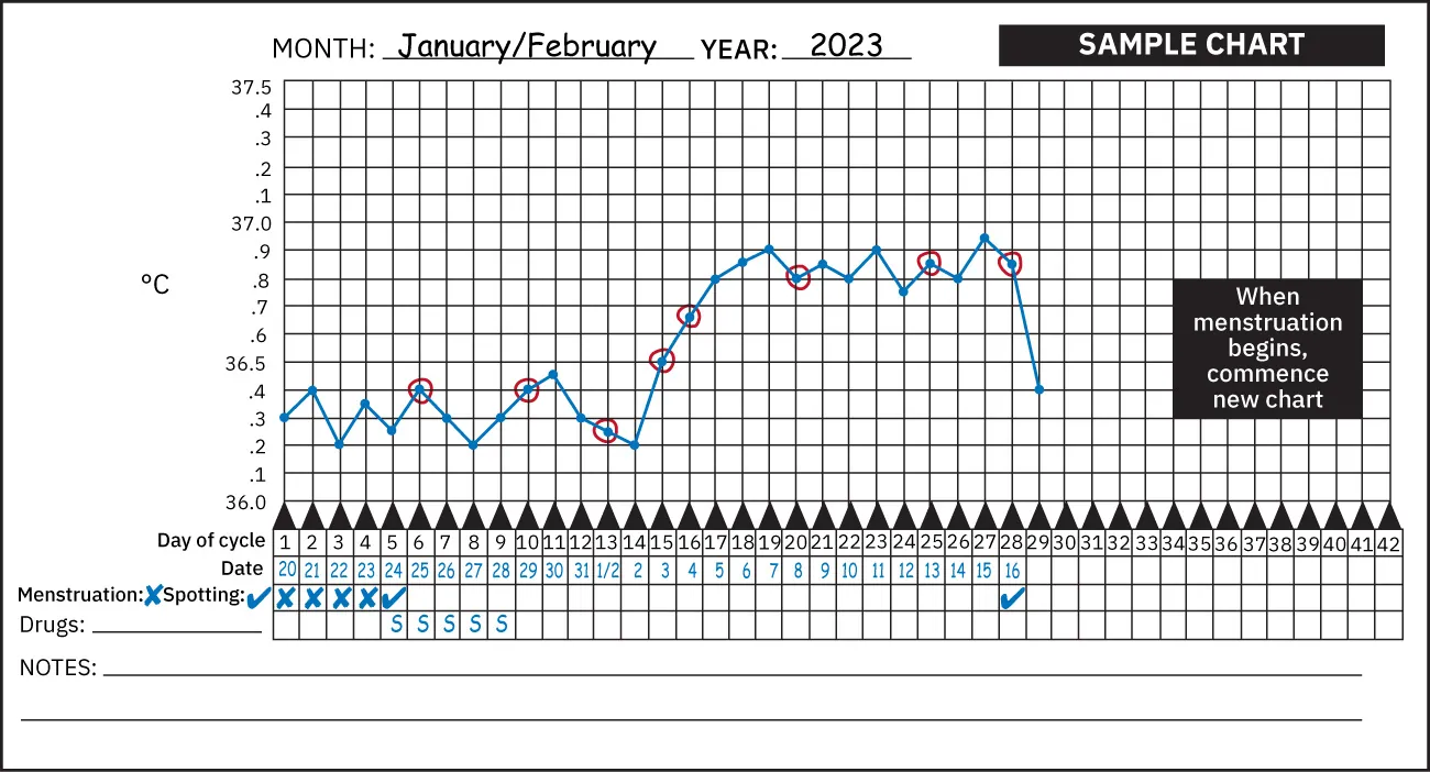 Chart displaying basal body temperature tracking over a 42 day cycle with boxes to indicate menstruation and spotting.