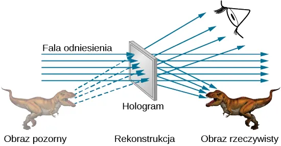 W centrum rysunku znajduje ekran podpisany jako hologram, rekonstrukcja. Promienie podpisane jako fala odniesienia przechodzą przez ekran z lewa na prawo. Dinozaur po prawej stronie jest opisany jako obraz rzeczywisty. Dinozaur spogląda na lewo. Padają na niego promienie odbite od ekranu. Dinozaur będący obrazem pozornym znajduje się po lewej stronie rysunku. Promienie wychodzące od niego przechodzą przez ekran i wpadają do oka obserwatora.