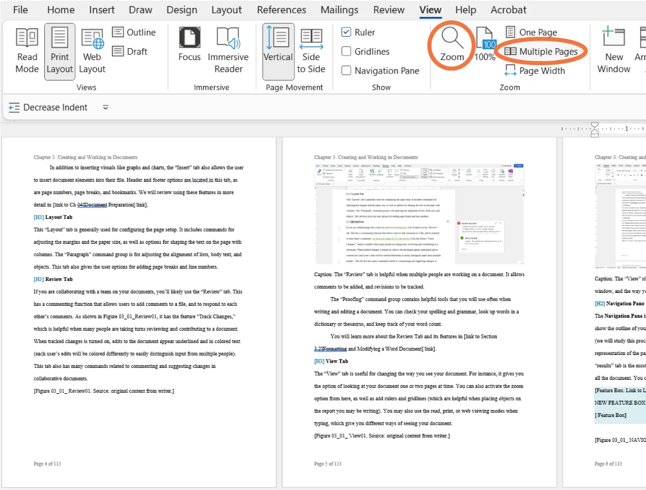 Zoom and Multiple Pages selected from Zoom command group (View tab). Two pages of a document are visible in a row across the screen, zoomed out to fit on the screen.