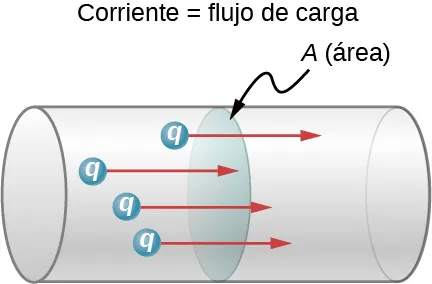 La imagen de la izquierda muestra una imagen de la columna vertebral humana tomada mediante resonancia magnética. La imagen de la izquierda es una fotografía del instrumento de resonancia magnética.