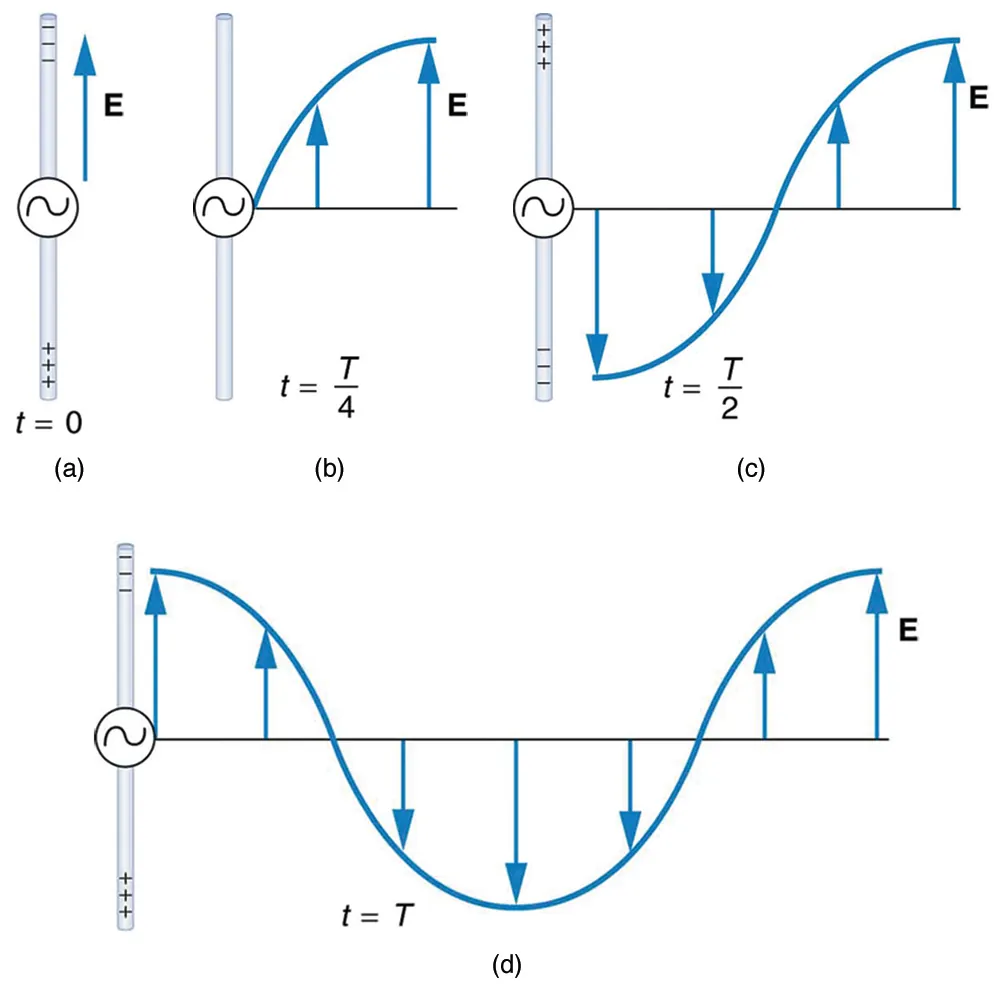 A long straight gray wire with an A C generator at its center, functioning as a broadcast antenna for electromagnetic waves, is shown. The wave distributions at four different times are shown in four different parts. Part a of the diagram shows a long straight gray wire with an A C generator at its center. The time is marked t equals zero. The bottom part of the antenna is positive and the upper end of the antenna is negative. An electric field E acting upward is shown by an upward arrow. Part b of the diagram shows a long straight gray wire with an A C generator at its center. The time is marked t equals capital T divided by four. The antenna has no polarity marked and a wave is shown to emerge from the A C source. An electric field E acting upward as shown by an upward arrow. The electric field E propagates away from the antenna at the speed of light, forming part of the electromagnetic wave from the A C source. A quarter portion of the wave is shown above the horizontal axis. Part c of the diagram shows a long straight gray wire with an A C generator at its center. The time is marked t equals capital T divided by two. The bottom part of the antenna is negative and the upper end of the antenna is positive and a wave is shown to emerge from the A C source. The electric field E propagates away from the antenna at the speed of light, forming part of the electromagnetic wave from the A C source. A quarter portion of the wave is shown below the horizontal axis and a quarter portion of the wave is above the horizontal axis. Part d of the diagram shows a long straight gray wire with an AC generator at its center. The time is marked t equals capital T. The bottom part of the antenna is positive and the upper end of the antenna is negative. A wave is shown to emerge from the A C source. The electric field E propagates away from the antenna at the speed of light, forming part of the electromagnetic wave from the A C source. A quarter portion of the wave is shown above the horizontal axis followed by a half wave below the horizontal axis and then again a quarter of a wave above the horizontal axis.