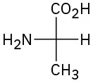 The central carbon is bonded to hydrogen on right, amine on left, C O O H on the top, and C H 3 on the bottom.