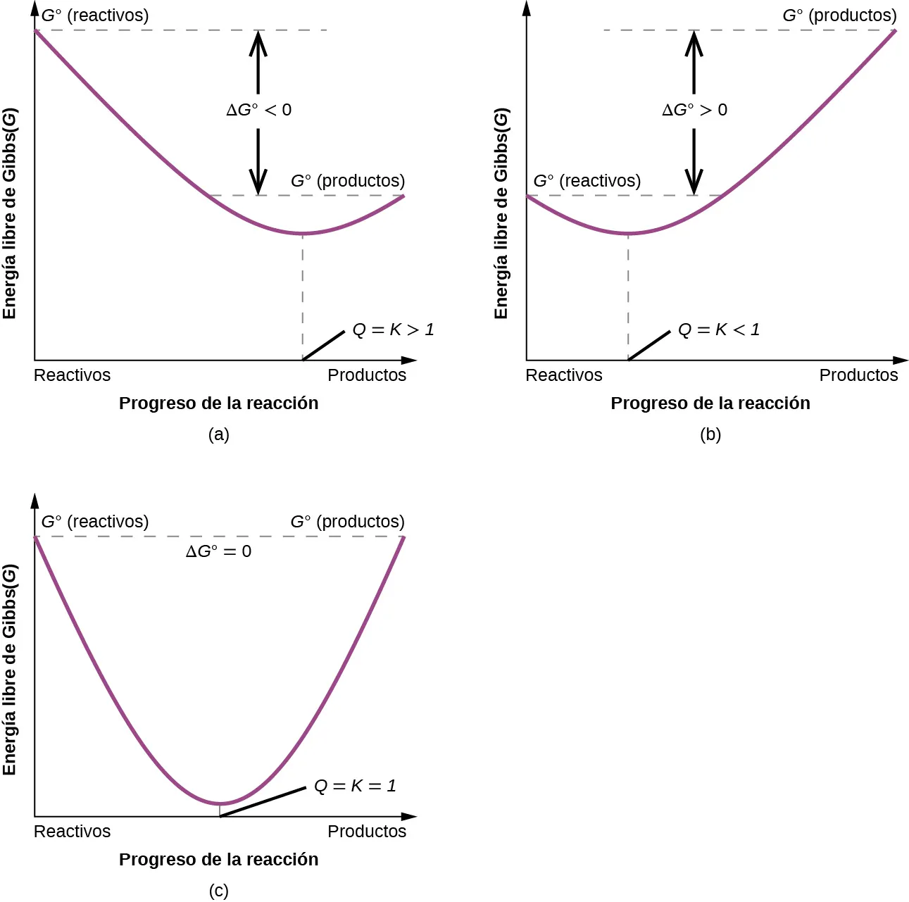 Se muestran tres gráficos, marcados como "a", "b" y "c", en los que el eje y está marcado como "energía libre de Gibbs (G)" y "G superíndice signo de grado (reactivos)", mientras que el eje x está marcado como "Progreso de la reacción" y "Reactivos" a la izquierda y "Productos" a la derecha. En el gráfico a, una línea comienza en la parte superior izquierda y desciende de forma constante hasta un punto situado aproximadamente a la mitad del eje y y a dos tercios del eje x, y luego vuelve a subir hasta un punto marcado como "G superíndice signo de grado (productos)", que está ligeramente por encima de la mitad del eje y. La distancia entre los puntos inicial y final del gráfico está marcada como "delta G menor que 0", mientras que el punto más bajo del gráfico está marcado como "Q igual a K mayor que 1". En el gráfico b, una línea comienza en el centro de la izquierda y desciende de forma constante hasta un punto situado a unos dos quintos del eje y y a un tercio del eje x, y luego vuelve a subir hasta un punto marcado como "G superíndice signo de grado (productos)", que está cerca de la parte superior del eje y. La distancia entre los puntos inicial y final del gráfico está marcada como "delta G mayor que 0", mientras que el punto más bajo del gráfico está marcado como "Q igual a K menor que 1". En el gráfico c, una línea comienza en la parte superior izquierda y desciende constantemente hasta un punto cercano a la parte inferior del eje y y a la mitad del eje x, y luego vuelve a subir hasta un punto marcado como "G superíndice signo de grado (productos)", que es igual al punto de partida en el eje y que está marcado como "G superíndice signo de grado (reactivos)". El punto más bajo del gráfico está marcado como "Q es igual a K es igual a 1" En la parte superior del gráfico aparece la marca "El signo de grado superíndice Delta G es igual a 0"