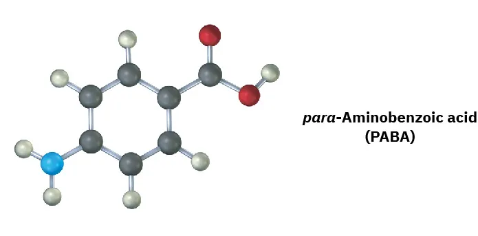 The ball and stick model of para-aminobenzoic acid abbreviated as PABA.