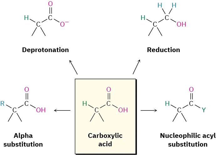 Flow chart of different reactions of carboxylic acids: alpha substitution of H with R, deprotonation, reduction to alcohol, or nucleophilic acyl substitution of O H with Y.