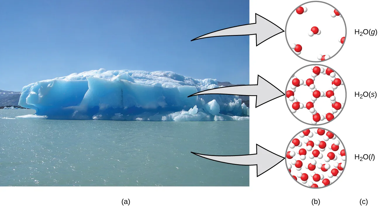 Figure A shows a photo of an iceberg floating in a sea has three arrows. Each arrow points to figure B, which contains three diagrams showing how the water molecules are organized in the air, ice, and sea. In the air, which contains the gaseous form of water, H subscript 2 O gas, the water molecules are disconnected and widely spaced. In the ice, which is the solid form of water, H subscript 2 O solid, the water molecules are bonded together into rings, with each ring containing six water molecules. Three of these rings are connected to each other. In the sea, which is the liquid form of water, H subscript 2 O liquid, the water molecules are very densely packed. The molecules are not bonded together.