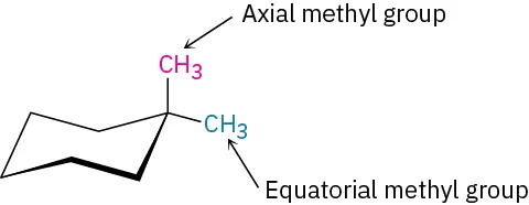 In the chair conformation of cyclohexane, C1 is bonded to an axial methyl group and an equatorial methyl group.
