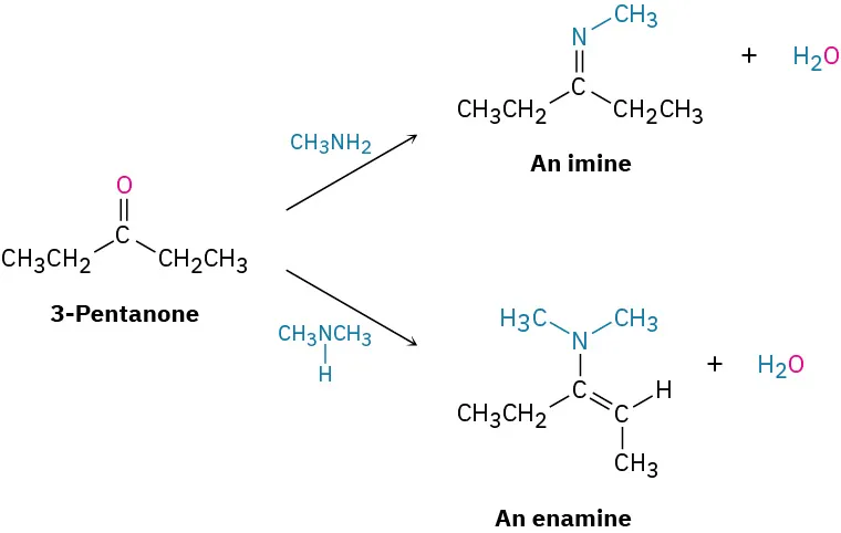 3-pentanone undergoes two reactions. It reacts with methylamine to form an imine and water. It reacts with ethyl amine to form an enamine and water.
