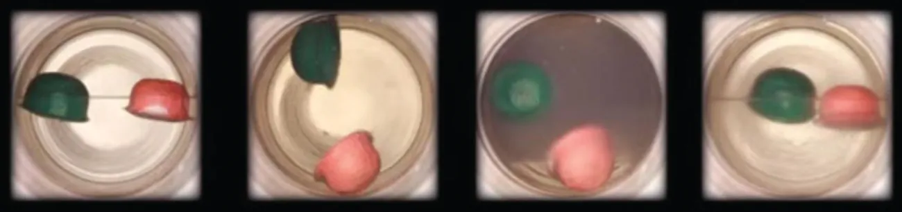 Four photographs are shown where each shows a circular container with a green and red float in each. In the left diagram, the container is half filled with a colorless liquid and the floats sit on the surface of the liquid. In the second photo, the green float is near the top and the red float lies near the bottom of the container. In the third photo, the fluid is darker and the green float sits halfway up the container while the red is sitting at the bottom. In the right photo, the liquid is colorless again and the two floats sit on the surface.