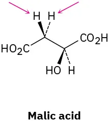 Wedge-dash structure of malic acid. Two arrows point toward the pro-S  and pro-R hydrogen atoms bonded at C3.