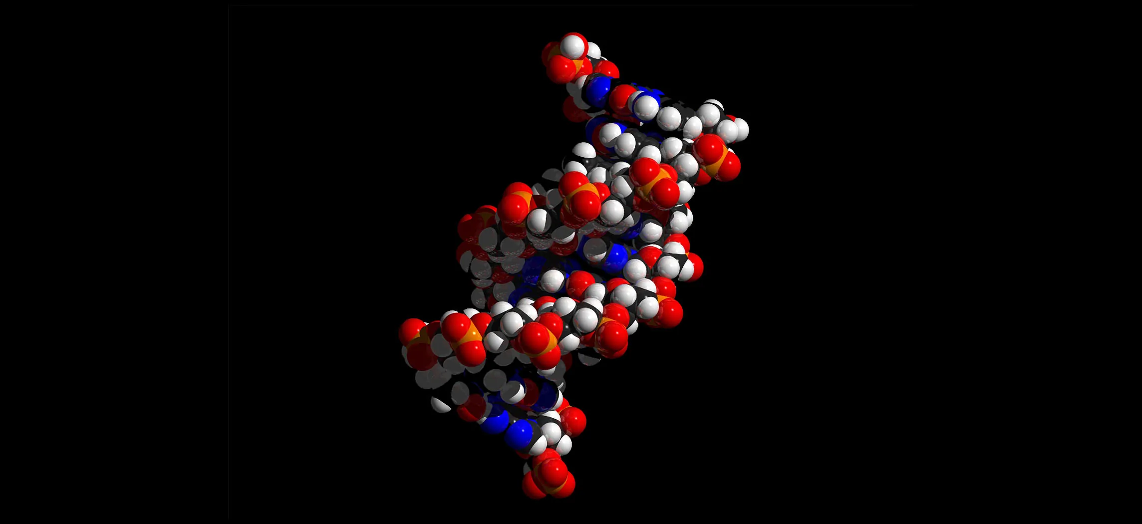 This figure shows a double helix.